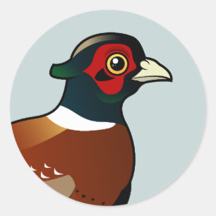 Sticker Rond Faisan commun