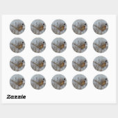 Sticker Rond Faisan de Colchide dans la neige B23 (Feuille)