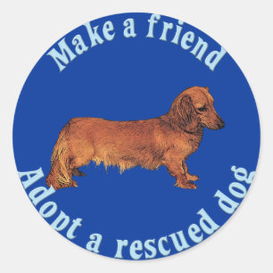 Sticker Rond Faites un ami - Dachshund