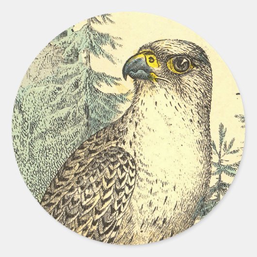 Sticker Rond Falcon (Devant)