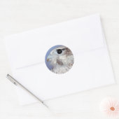 Sticker Rond Falcon des Prairies (Enveloppe)
