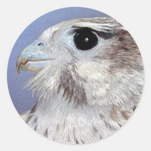 Sticker Rond Falcon des Prairies
