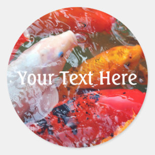 Sticker Rond Falln Gathering Koi