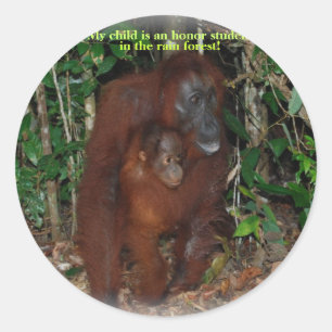Sticker Rond Famille animale mignonne de jungle d'orang-outan