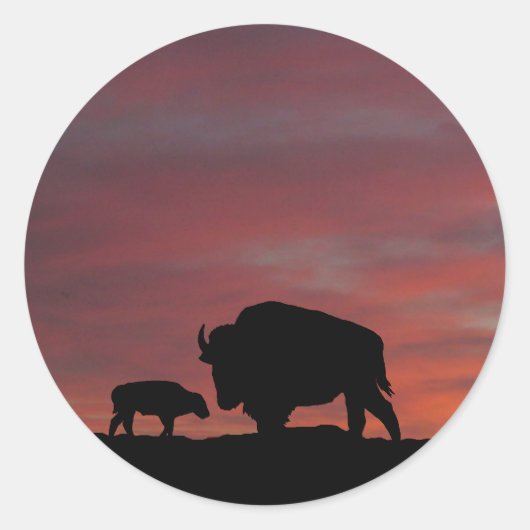 Sticker Rond Famille Bison (Devant)