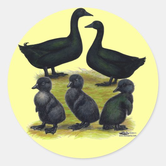 Sticker Rond Famille de canards Cayuga (Devant)