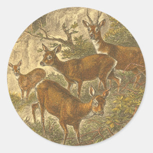 Sticker Rond Famille de Roe - Cerfs dans une forêt