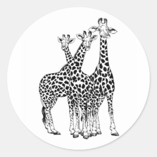 Sticker Rond Famille Giraffe