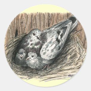Sticker Rond Famille Pigeon