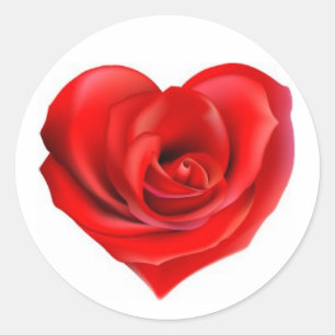 Sticker Rond Fascinant s'est levé