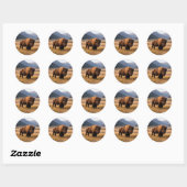 Sticker Rond Faune Bison d'Amérique (Feuille)