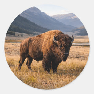 Sticker Rond Faune Bison d'Amérique