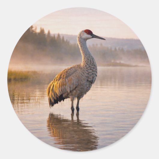 Sticker Rond Faune Grue des collines Marais (Devant)