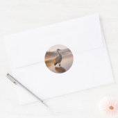 Sticker Rond Faune Grue des collines Marais (Enveloppe)