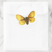 Sticker Rond femelle de Bombyx quercus (Sac)