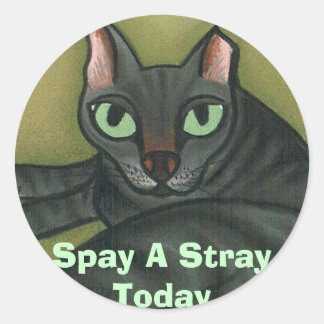 Sticker Rond Feral cat, Spay A Stray Today - Customisé