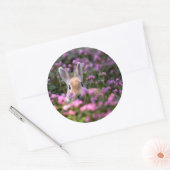 Sticker Rond Ferme de lapins (Enveloppe)