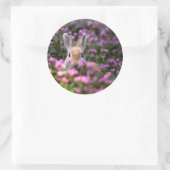 Sticker Rond Ferme de lapins (Sac)