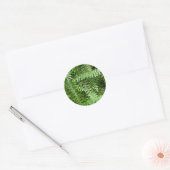 Sticker Rond Fermer Fronds I Green Nature (Enveloppe)