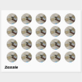 Sticker Rond Fermer la libellule (Feuille)