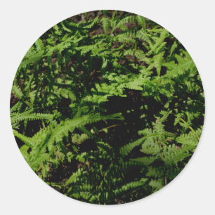 Sticker Rond Fermes du plancher forestier