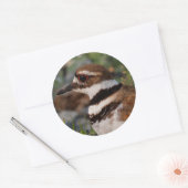 Sticker Rond Fermeture d'un tueur (Enveloppe)