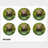 Sticker Rond Ferret Brown dans la cuisine d'herbe (Feuille)