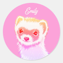 Ferret Sassy Aux Couleurs Arc-En-Ciel