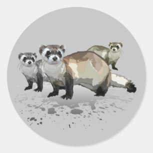 Sticker Rond Ferrets