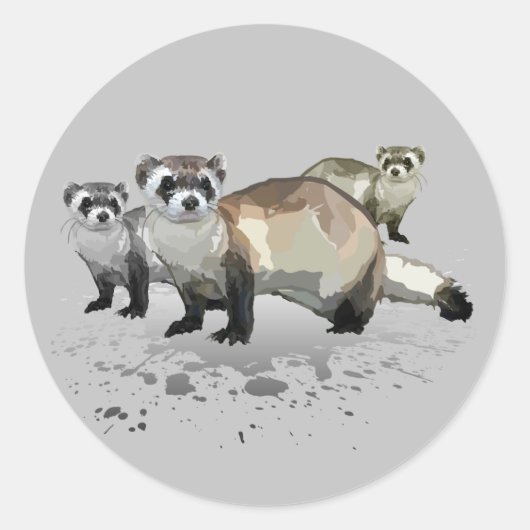 Sticker Rond Ferrets (Devant)