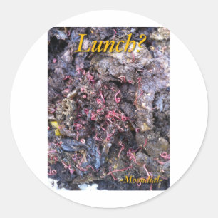 Sticker Rond Festin de ver