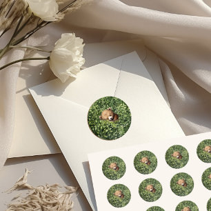 Sticker Rond Fête de naissance ours forêt aquarelle neutre