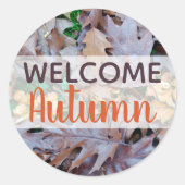 Sticker Rond Feuillage brun feuille tombé à l'automne (Devant)