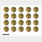 Sticker Rond Feuillage de automne jaune et vert (Feuille)