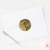 Sticker Rond Feuillage de automne jaune et vert (Enveloppe)