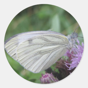 Sticker Rond Feuille autocollante papillon blanc