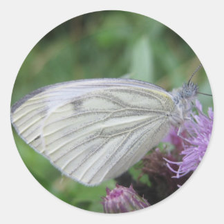 Sticker Rond Feuille autocollante papillon blanc