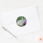 Sticker Rond Feuille autocollante papillon blanc (Enveloppe)