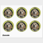 Sticker Rond Feuille d'autocollants Abby 2012 (Feuille)