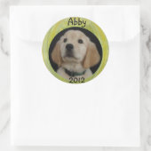 Sticker Rond Feuille d'autocollants Abby 2012 (Sac)