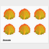 Sticker Rond Feuille d'automne de Aspen (Feuille)
