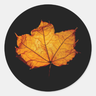 Sticker Rond Feuille d'automne d'or