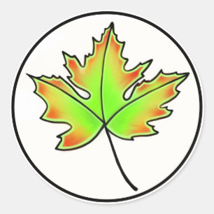 Sticker Rond Feuille d'érable