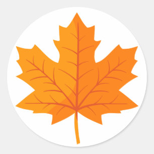 Sticker Rond Feuille d'érable canadienne d'oranger clair