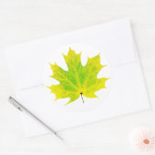 Sticker Rond Feuille d'érable vert jaune (Enveloppe)