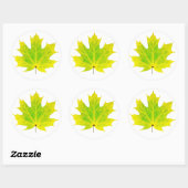 Sticker Rond Feuille d'érable vert jaune (Feuille)