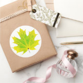 Sticker Rond Feuille d'érable vert jaune (Cadeaux)