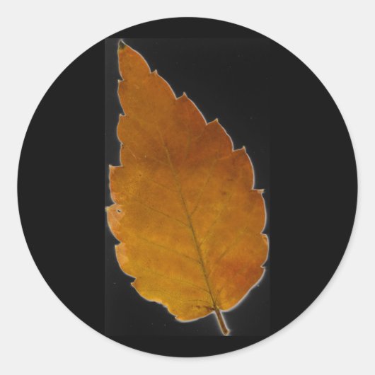 Sticker Rond feuille III (Devant)