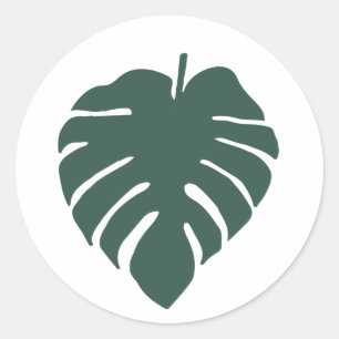 Sticker Rond Feuille Monstera verte