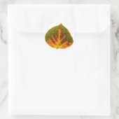 Sticker Rond Feuille vert orange et jaune d'Aspen #1 (Sac)